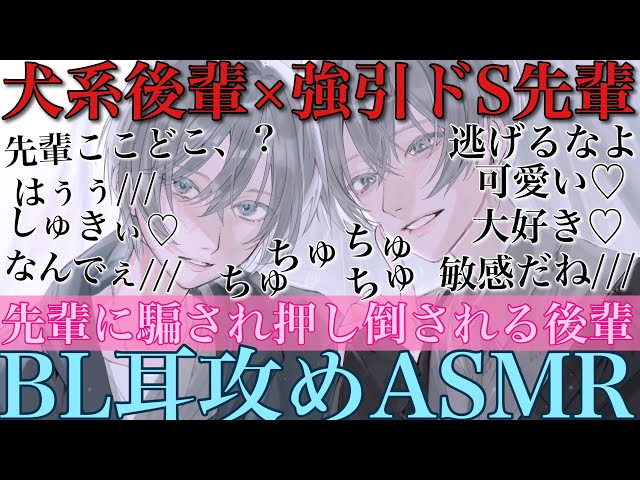 【BLボイス耳鳴めASMR】ドS先輩に騙された犬系後輩が弱い耳を攻められて押し倒されて最後までされるりねふ、めねふASMR立体音響バイノーラル録音