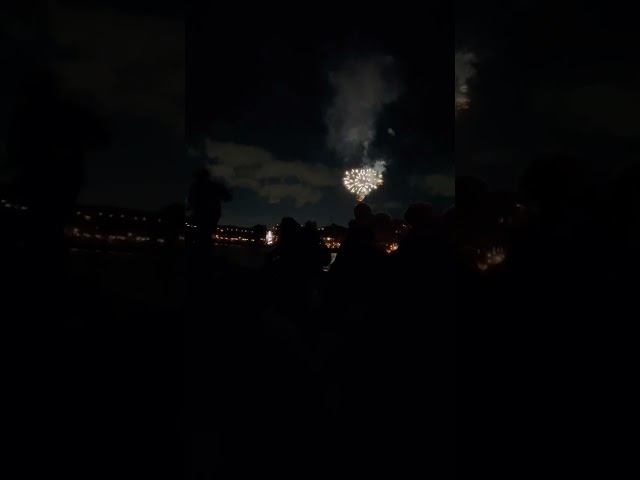 Disney Light The Night