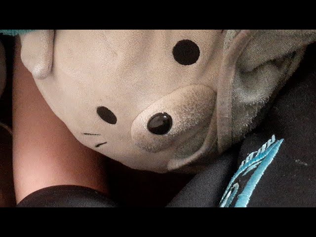 おやすに配信だお〜   まずお 風呂から