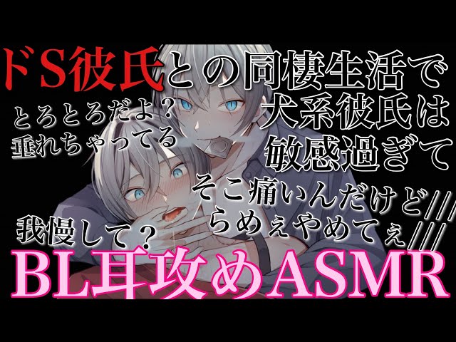【BLボイス耳鳴めASMR】ドS彼氏との同棲生活で犬系彼氏は感じ過ぎてりねふ、めねふASMR立体音響バイノーラル録音