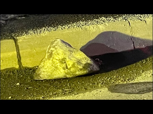 あかんコンパス用iPhoneを職場に忘れてきた、、  ほんでサブiPhoneが紛失した  おやすに配信だけども