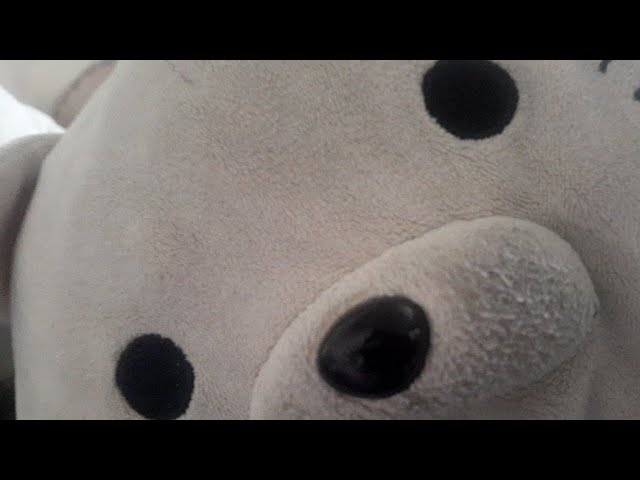 おやすに配信 やっとマイクラできたっす。オールフォーワンの防具忘れたw