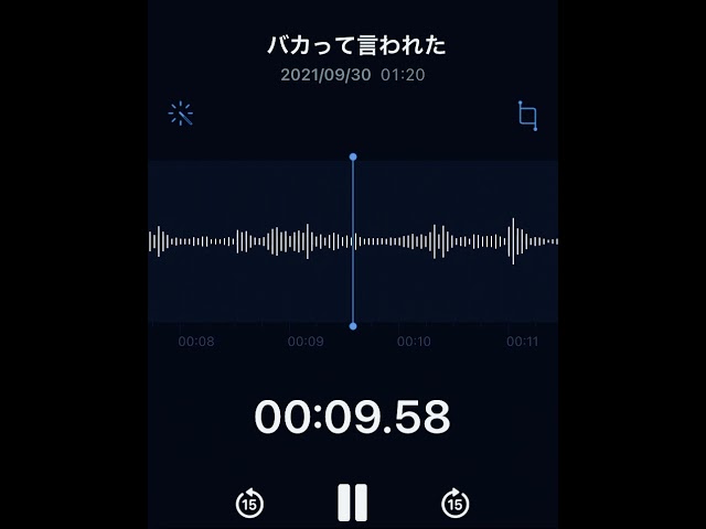 馬鹿の一つ覚え(ASMR)(男女兼用)(リアルBL)