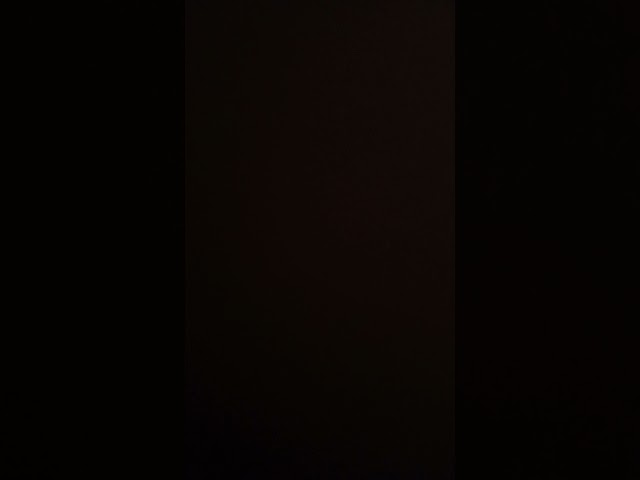 今日の朝イチおしっこ