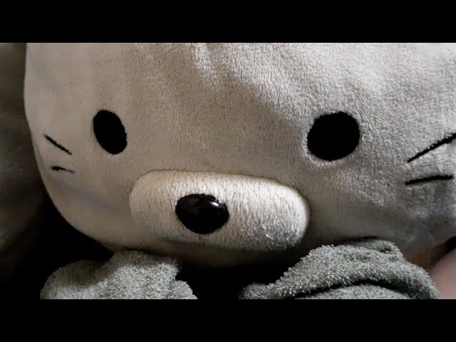 ちゃうねんやっと家に帰れたんや おやすに配信