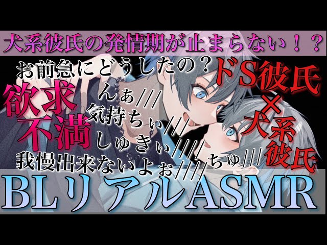 犬系彼氏が我慢出来無くなってドS彼氏に求め続けたら弱い所攻められて最後までされる【BLボイス耳鳴めASMR】りねふ、めねふASMR立体音響バイノーラル録音女性向けボイス腐女子腐男子向けボイス