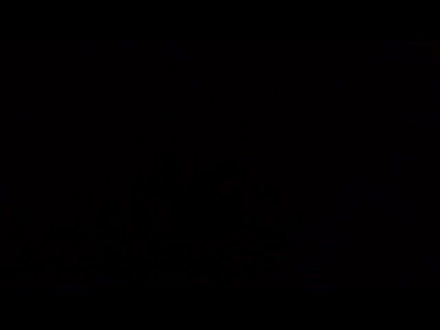 【リアルBL】再録 : ネコが攻めて来た！ウケのくせに、どSなんだよなぁ…