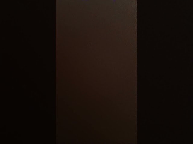 今日のおしっこの音