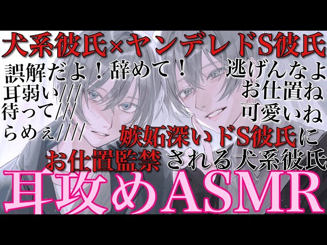 【BLボイス耳鳴めASMR】犬系彼氏の仕事に嫉妬したドSヤンデレ彼氏に弱い耳を攻められてお仕置きされて最後までされるりねふ、めねふASMR立体音響バイノーラル録音