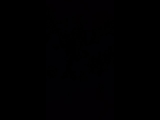 好きな男は、甘えて落とす #BL #女性向け