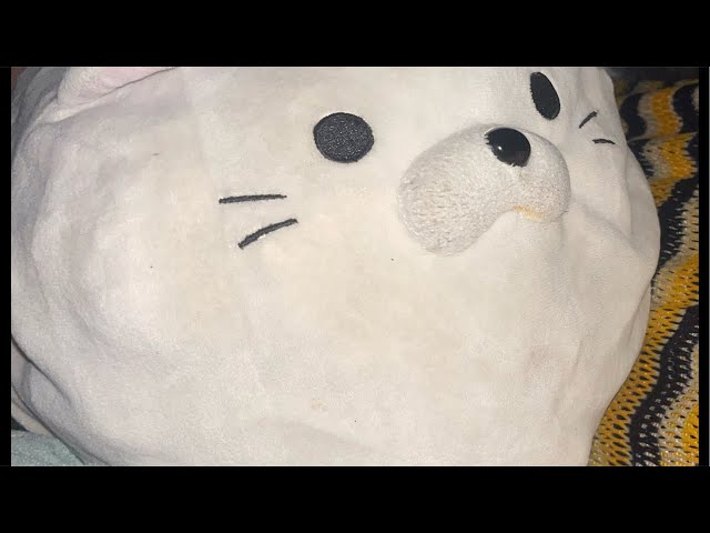 おなじみおやすに配信だお