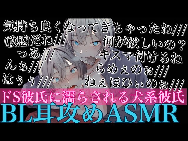 【BLボイス耳鳴めASMR】ドS彼氏にキスマ付けられ声が漏れちゃう犬系彼氏は最後までされるりねふ、めねふASMR立体音響バイノーラル録音
