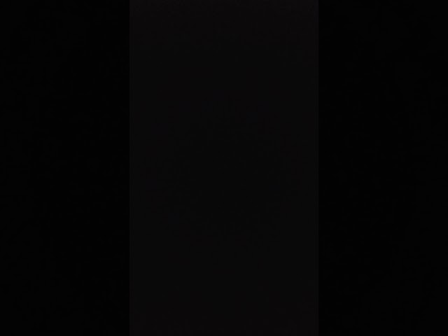 朝からひとりで