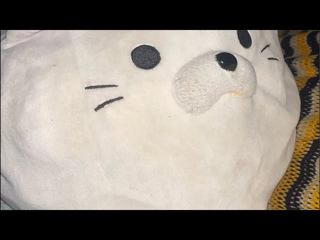 おやすに配信ね。バッテリー切れる可能性あり  まぁさな以外誰も来ねぇかw ごめんね〜君達なんかに期待したら失礼やねw