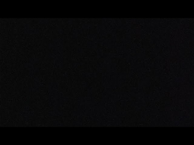 ガサガサしててごめんね