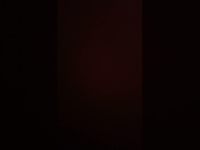 今日のおしっこ音