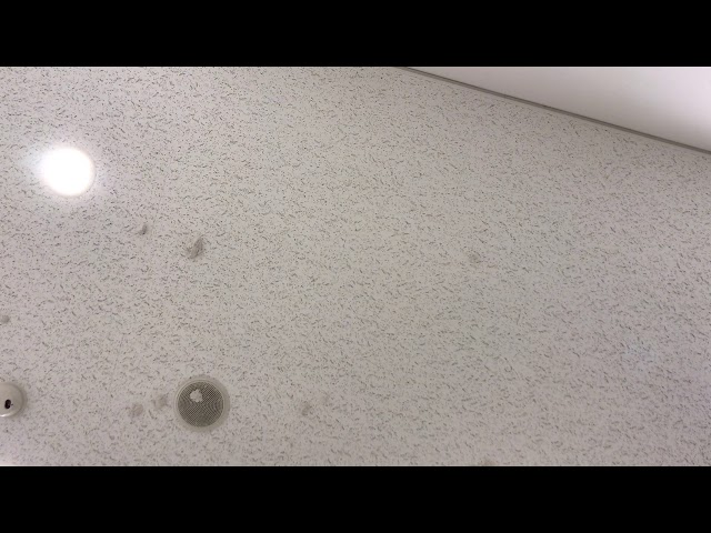 【リアルBL】撮り方ミスったけど前向きにね！