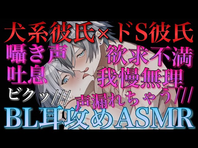 【BLボイス耳鳴めASMR】ドS彼氏に犬系彼氏がめちゃくちゃに攻められてりねふ、めねふASMR立体音響バイノーラル録音