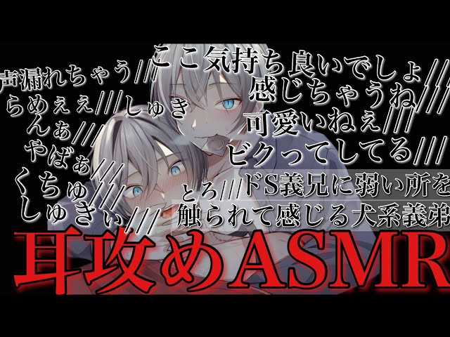 【BLボイス耳鳴めASMR】ドS義兄に弱い所攻められて声が漏れちゃう犬系義弟が可愛い過ぎて最後までされるりねふ、めねふASMR立体音響バイノーラル録音